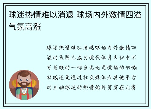 球迷热情难以消退 球场内外激情四溢气氛高涨